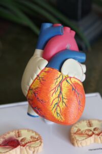 cardiaque