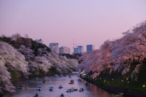 Japon