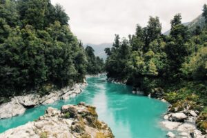 Découverte des Gorges de l'Hérault