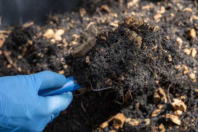 Comment le compost améliore la fertilité du sol et la croissance des plantes ?